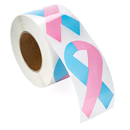 Pink & Blue Ribbon Stickers For Birth Defects Awareness, Sids Awareness, Male Breast Cancer, Infant Loss, Fundraising & Gift Giving - (1 Roll-250 Stickers) #TOP1