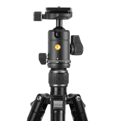 Image of Vanguard Vesta GO 264AB Aluminum Travel Tripod with VEO BH-60 Ball Head