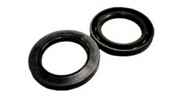 D40-60-6 High Temperature and high Pressure Resistant Oil Seal D45-65-7 Injection molding Oil Pump Hydraulic Motor Sealing Ring (D 45-65-7)