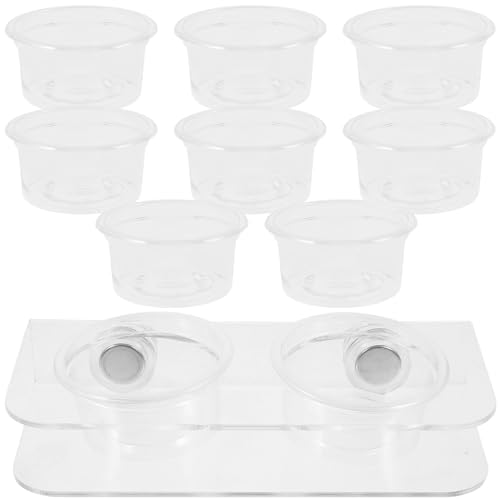 PEPLAYTAL 1Juego Soporte para Alimentación De Reptiles con Tazas De Comida para Gecko y Serpientes Accesorios para Terrarios Comedero y Bebedero para Reptiles