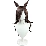 耐熱コスプレウィッグ 二番目の城 憲法色 ロングヘア cosplay wig パーティー 変装 +おまけ5点 専用ネットと櫛付 ピンクのヘアブラシ付 ヘアピンとメモパッド付