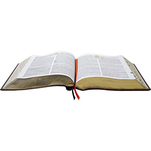 Theological Study Bible Reina Valera 1960 Black Faux Leather with Index