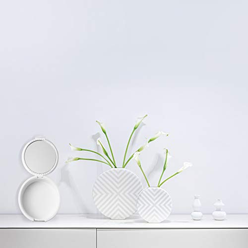 Caixa de dentadura ExCEART com estojo de armazenamento de dentes falsos espelhados, caixa para denta