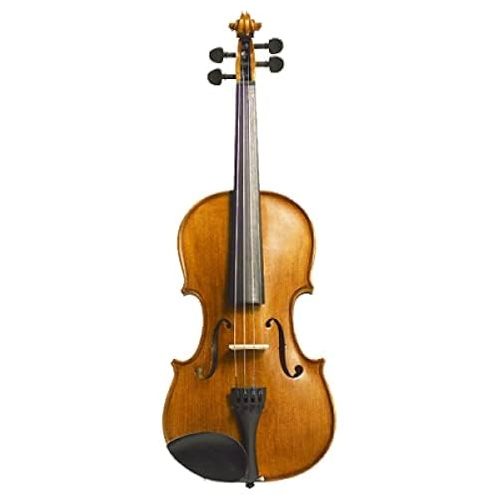 【極美品】STENTOR STUDENT バイオリン　4/4 ケース・肩当て付き バイオリン Violin The Stentor Student ST 4/4 ケース/肩当て/1