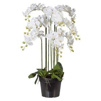 artplants.de Orquídea Phalaenopsis Artificial LOPASY, Blanca, 110 cm