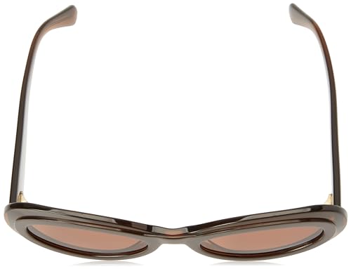 Sunglasses SF 2003 S 233 Transparent Brown/Brown4