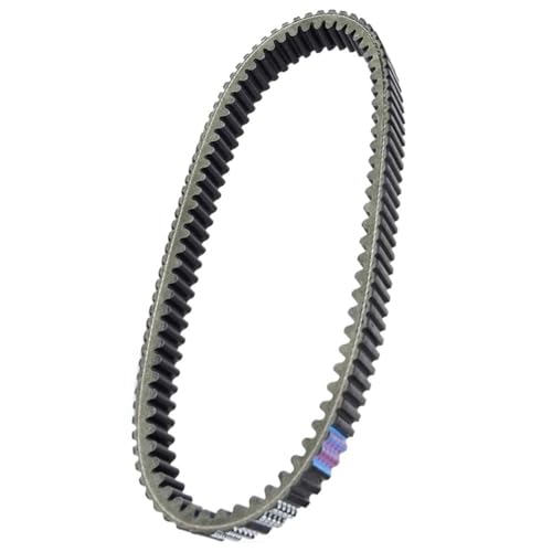 Courroie transmission robuste pour boîte vitesses Wolverine 450