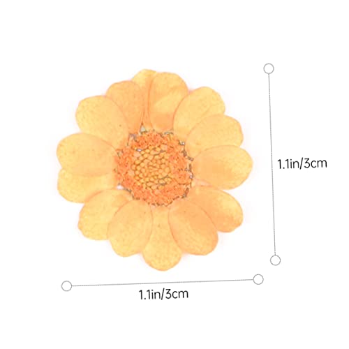 Kit 40 flores prensadas secas color naranja para manualidades miniatura 2