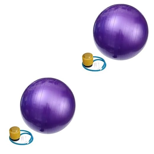 BESPORTBLE 2Pcs Yoga Com Bomba Cadeira De Equilíbrio Pilates Exercício Bolas De Treino Para Exercícios Anti-Explosão Yoga Ferramentas Domésticas Gravidez Parto Parto Academia Fitness Bola De