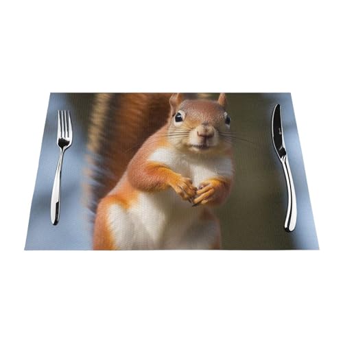 Sets de table en PVC lavables pour protéger votre table des plats chauds - 5