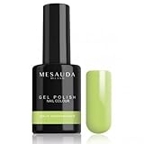 MESAUDA