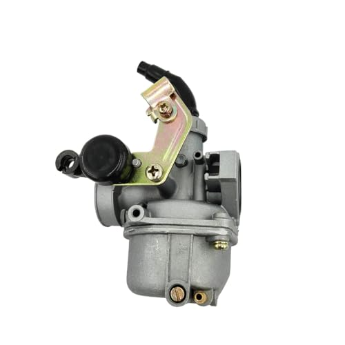 TAuTwA Motorcycle PZ19 19mm Cable Choke Carburetor Fit for 50cc