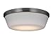 Generation Lighting MC261BS Dover 1-Light Kit LED, 21 Watts, Brushed Steel