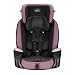 Evenflo Maestro Sport Harness Booster Car Seat, Whitney