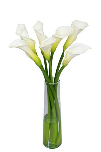 Delivery By Monday, March 13Th,Arabella Bouquets Fresh Cut White Calla Lilies With Vase Flowers, White #TOP3