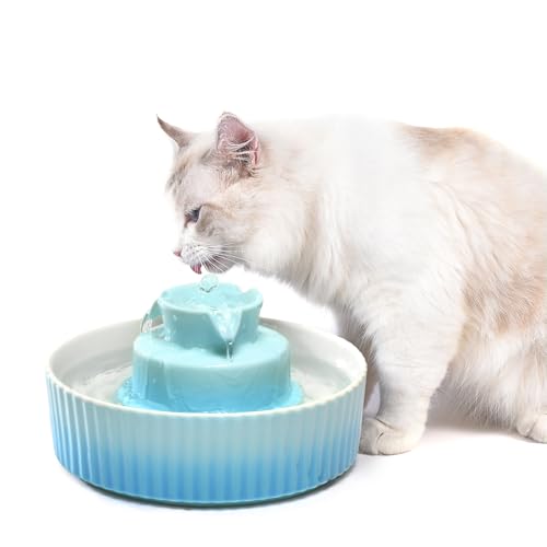 360 Ceramic Pet Fountain Blue