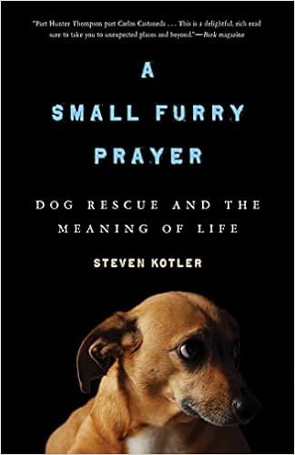 A Small Furry Prayer: Dog Rescue and the Meaning of Life book cover