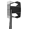 TaylorMade Golf Spider ZT Putter