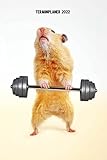  Terminplaner 2022: Hamster Design Jahresplaner und Kalender von Januar bis Dezember 2022 mit Ferien, Feiertagen und Monatsübersicht - Organizer und Zeitplaner für 1 Jahr