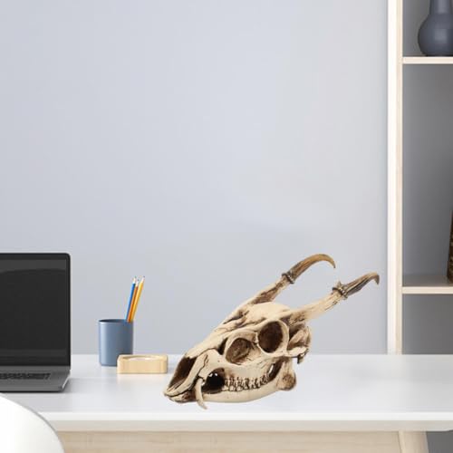 Calavera de resina resistente para decoración de Halloween gótica 5