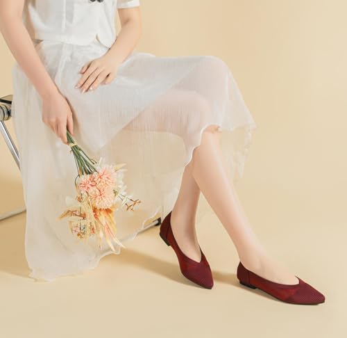 HROYL Women's Mesh Ballet Flats Shoes Pointed Toe Comfortable Dressy Slip On Knit Ballet Flat Model XTZ-A8-YS3