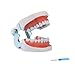 Typodont Teeth Model with 28 Detachable Teeth for Dental Hygiene Students