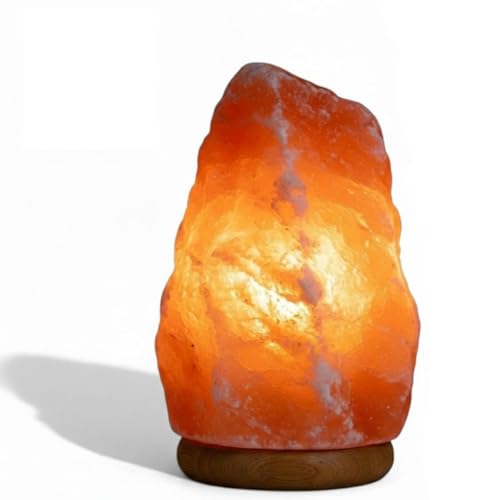LANDSTER Salzlampe Salzkristall Lampe Tischlampe Salzkristalllampe SalzsteinLampe Natürliche Rosa Salz Nachtischlampe Salt lamp aus Salt Range Pakistan (1-2 KG)