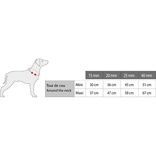 Zolux Moov Halsband Für Hunde Verstellbar & Reflektierend | Schwarz, 40 Mm Breite | Für Halsumfang 51-67 Cm | Wasserdicht & Komfortabel