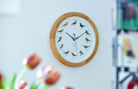 Miniatura 6 de KOOKOO Singvögel - Rojo fresa, 12 grabaciones originales de campo originales de pájaros cantores nativos