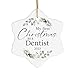 My First Christmas as a Dentist 2023 Snowflake Ornament, Gifts for Him Her Men Women, Dental School Clinic National Dentist Day Dentistry Student Ceramic Hanging Xmas Tree Birthday