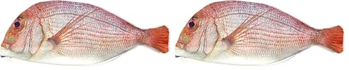 Image of Wrapables Dog /Cat Face Zippered Pencil Case (Set of 2)
