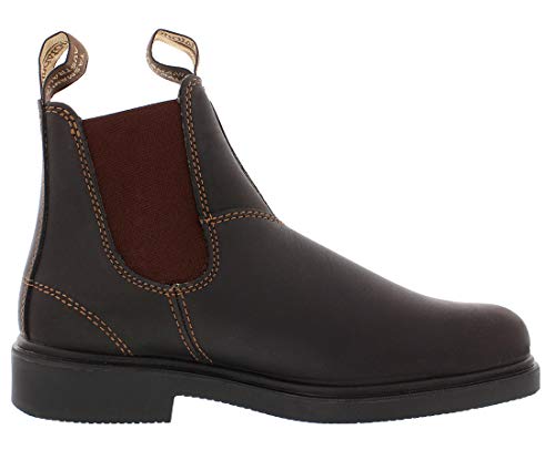 Blundstone 062 Premium Leather Chelsea Boot Unisex Shoes Size 4, Color: Stout Brown3