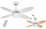 Diámetro 105 centímetros Bastilipo Bermeo Ventilador Techo con Mando A Distancia E27, 60 W, Blanco, 105 x 41 cm, 5698