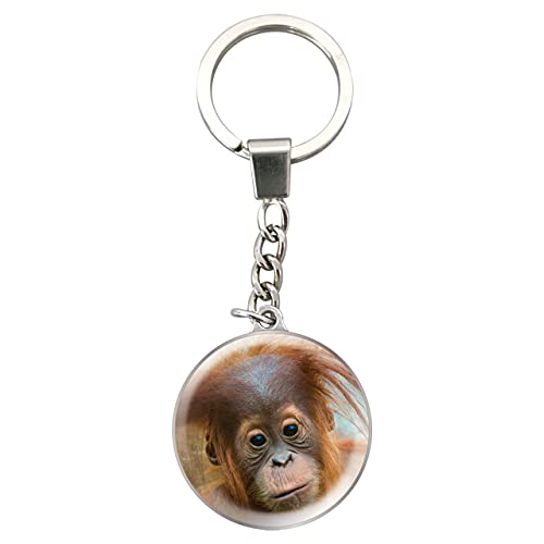 Deluxebase Magnidome Keychain from Crystal Glass Dome Animal Key Ring with Stainless Steel Chain, Cute Key Holder for Fun Bag Charms and Novelty Gifts