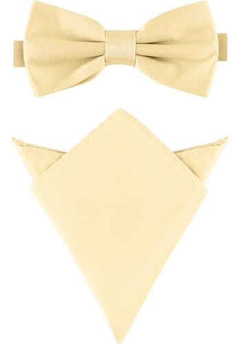 Ladeheid Herren Schmale Fliege & Einstecktuch Set M/P (12cm x 6cm, 22cm x...