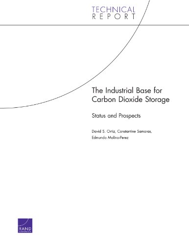  The Industrial Base for Carbon Dioxide Storage: Status and Prospects (Technical Report) (English Edition)