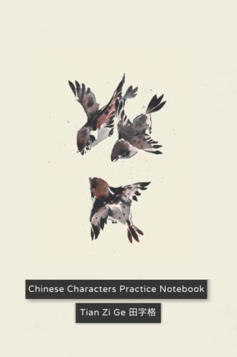 Chinese Character Practice Notebook: Simplified Chinese Character Handwriting Workbook for HSK Writing Practice Level 3-6 (120 pages, 10x13 cells/page)