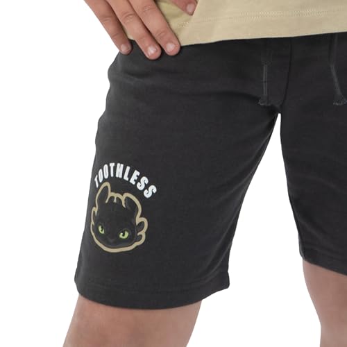Image of How To Train Your Dragon Shirt And Shorts, Toothless Boys Tshirt And Boys Shorts, Dragon Cotton T Shirt Outfit Set