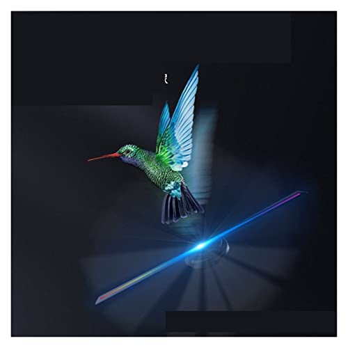 Projecteur holographique 3D de vitrine pour animation de restaurant Led - 4