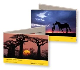 Baobabs & Wild Mustangs Notecards