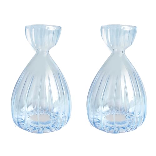 luolety Lot de 2 vases hydroponiques en verre pour semences d'avocat, pots de fleurs pour plantes d'avocat, kit de culture d'avocat, vases hydroponiques en verre pour les amateurs de jardinage (bleu)