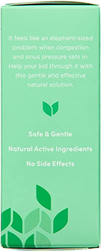 Hyland'S Kids Stuffy Nose & Sinus Tablets thumb #7