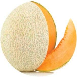 See full amazon price history chart for Golden Hills Farm (AVG 50-500) seeds hybrid Yellow Shamam Seeds - Musk Melon Golden (Orange Flesh) Seeds Home Garden Seeds Golden Hills Farm (AVG 50-500) seeds hybrid Yellow Shamam Seeds - Musk Melon Golden (Orange Flesh) Seeds Home Garden Seeds (B08QFSLBQG) Amazon Price History, Amazon Price Tracker