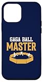 Master Pit Gaga Ball