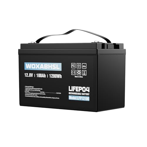 12V 100AH Lifepo4 Lithium Battery, Rechargeable Lifepo4 Battery, Up to 15,000 Deep Cycles, Buit in 100A BMS, Perfect for Trolling Motors, Boat, Marine, Rv, Solar
