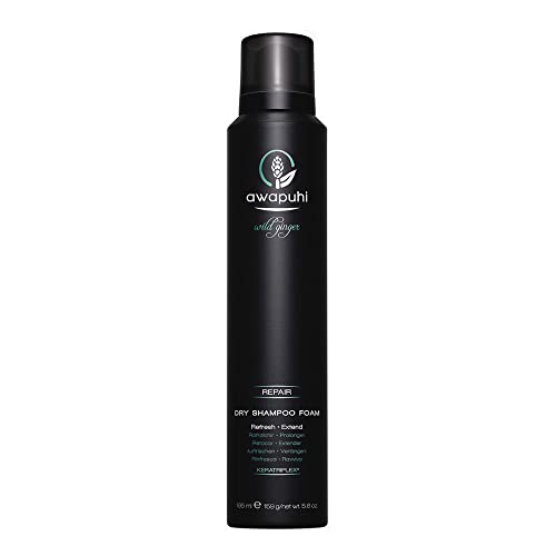 Awapuhi Wild Ginger Dry Shampoo Foam – Seco 310122 Cabello dañado, Profesional Dry Clean en calidad de salón, 195 ml