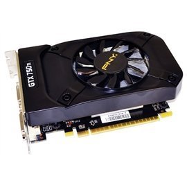 Pny Video Card Vcggtx750T2Xpb Gtx750 Ti 2Gb Ddr5 Pci Express 3.0 128Bit Dvi-I/Dvi-D/ Mini-Hdmi Retail (Vcggtx750T2Xpb) (Certified Refurbished) #TOP29