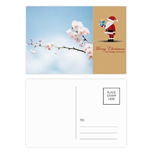 Cartes postales fleurs de prunier bleu ciel lot de 20 pour correspondance