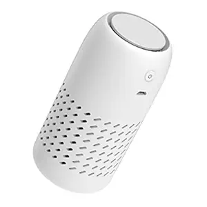 F FABOBJECTS Small Negative Ion Air Purifier Remove Formaldehyde PM2.5 Odor Purify Air for Home Car