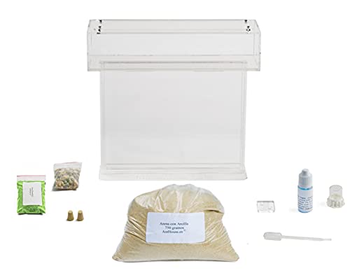 AntHouse - Natural Sand Ant Farm | Acrylic T BIG Kit 9.84x7.87x0.59 in - Image 3